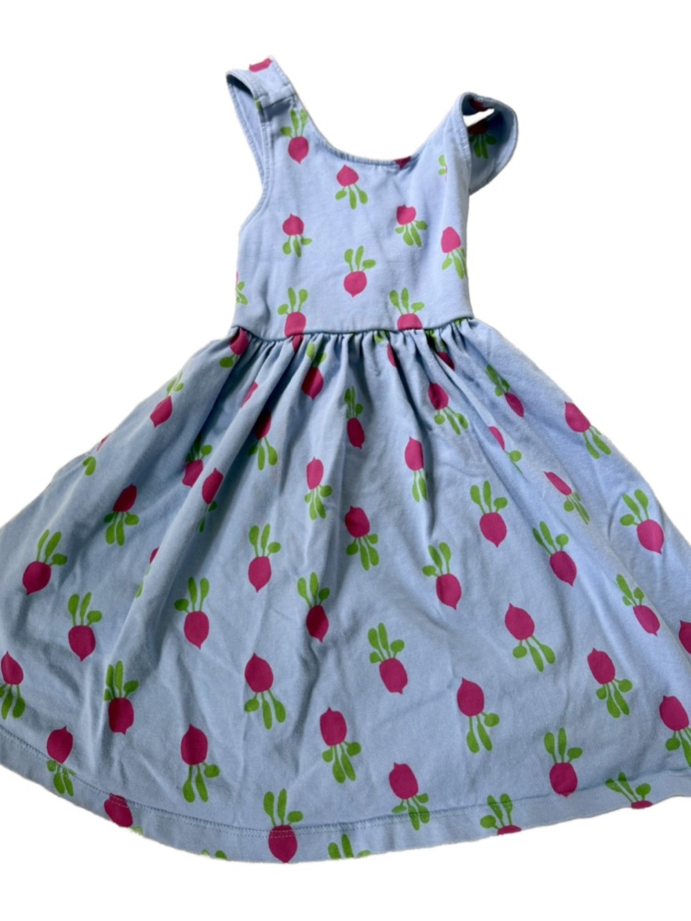 Hanna Andersson Light Blue Radish Dress
